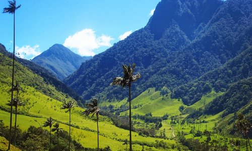 Guide to Armenia Colombia