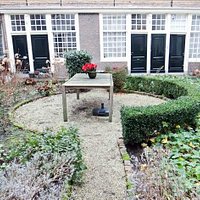 the garden