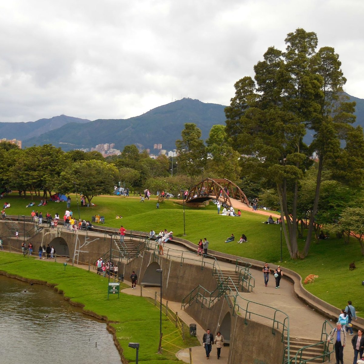 los parques centrales permiten perros