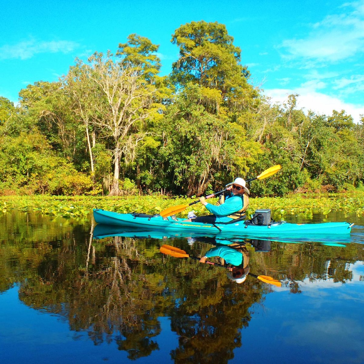 Think before you sip! - Wekiva Island