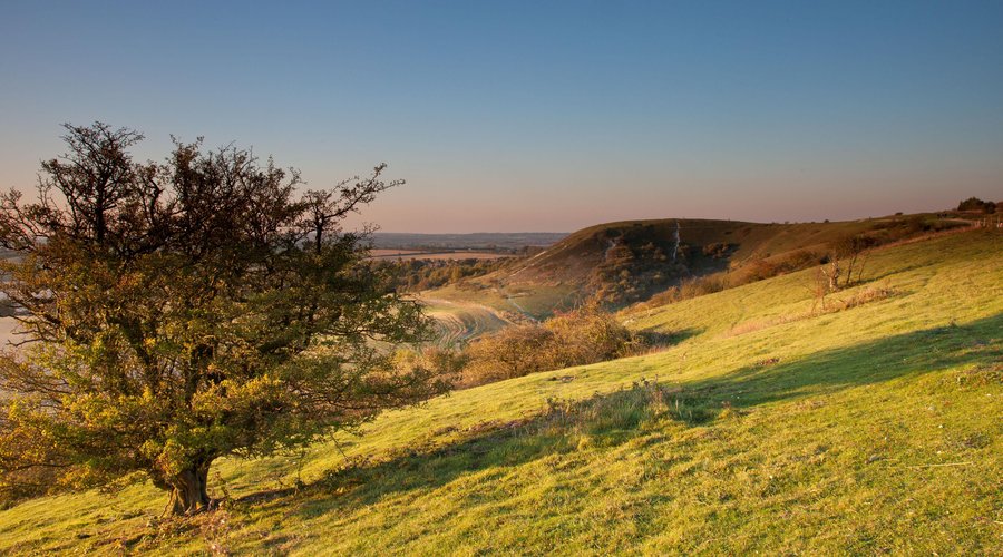 Dunstable Downs