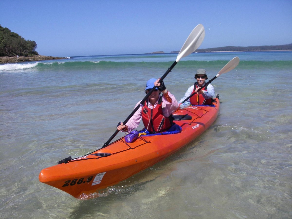south sea kayak tours