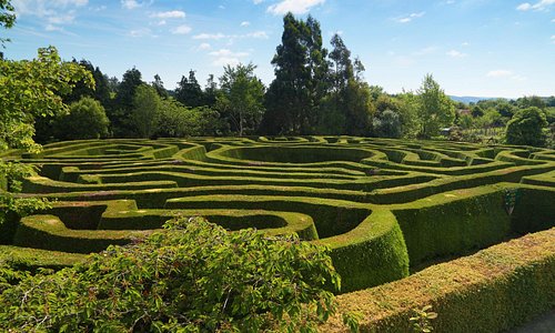 Greenan Hedge Maze