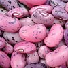 PurpleBeans