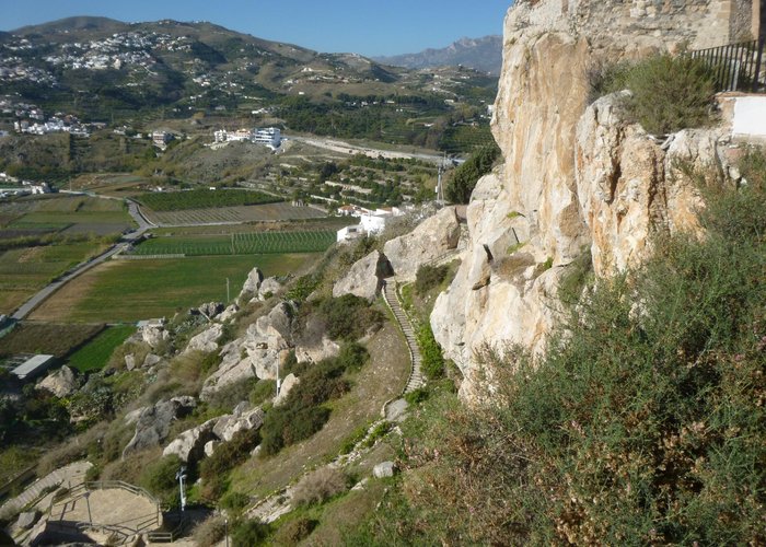 view