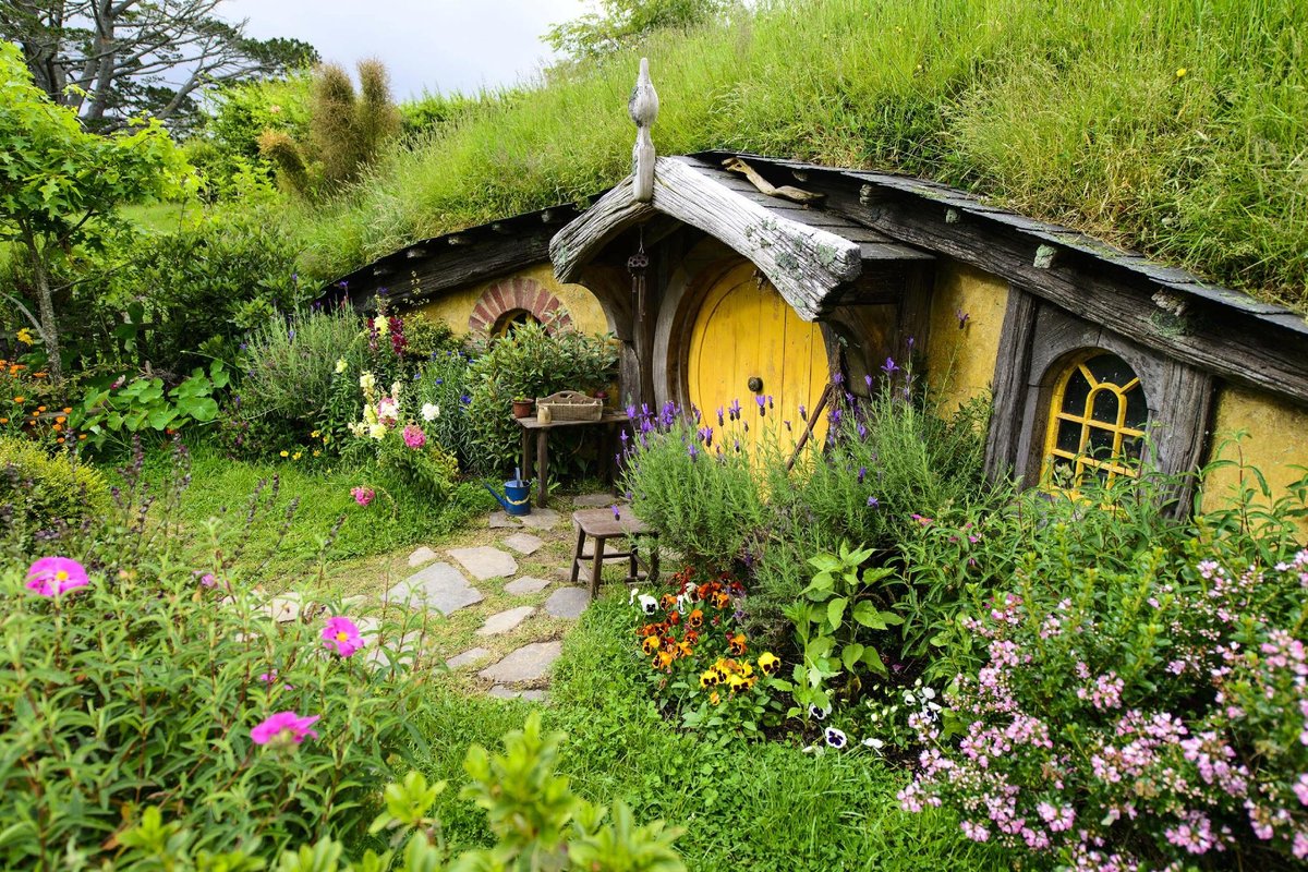 Cruise Tours to Hobbiton And Rotorua - All You Need to Know BEFORE You ...