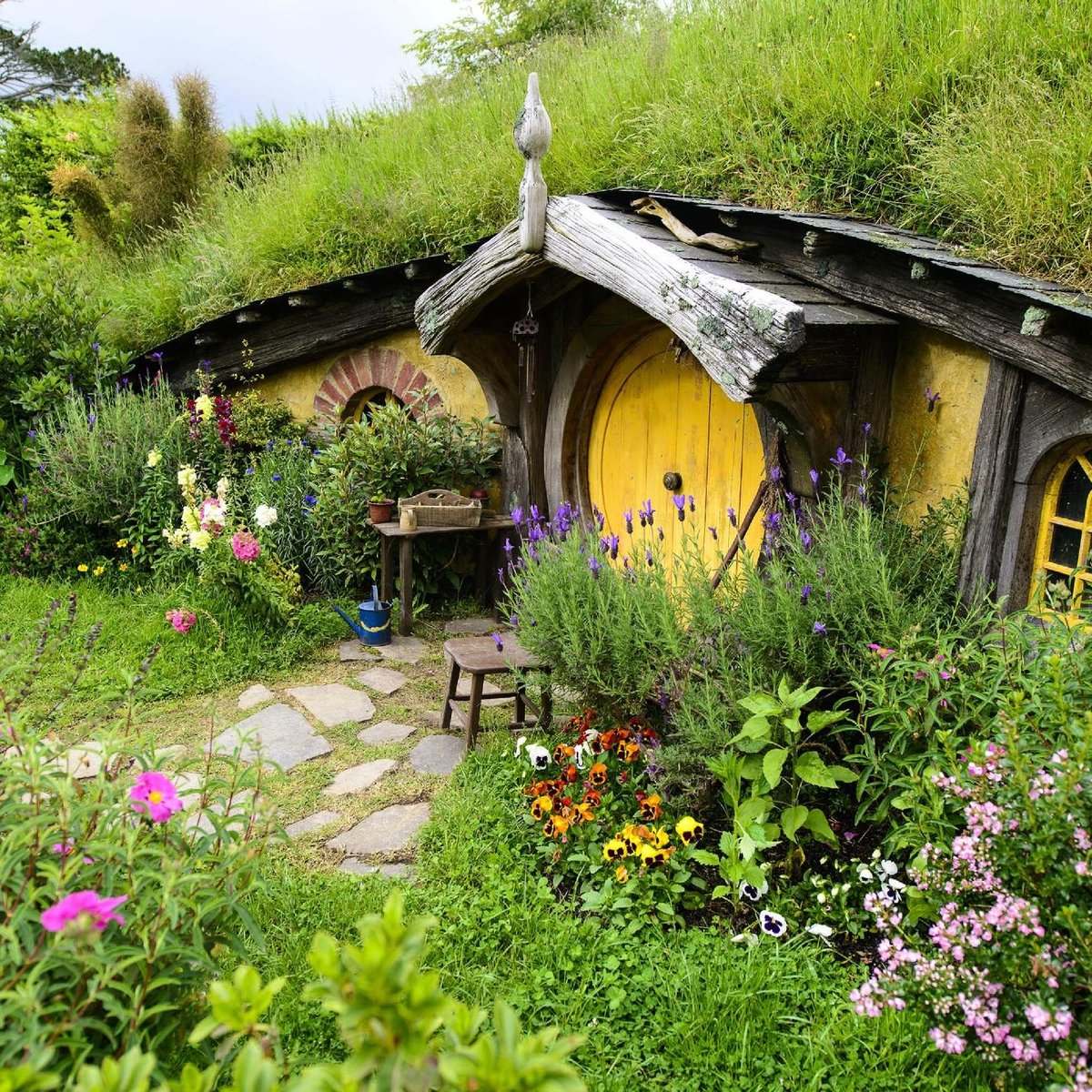 Cruise Tours to Hobbiton And Rotorua - All You Need to Know BEFORE You ...