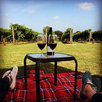 Glass of Pinot with a view of Phillip Island
