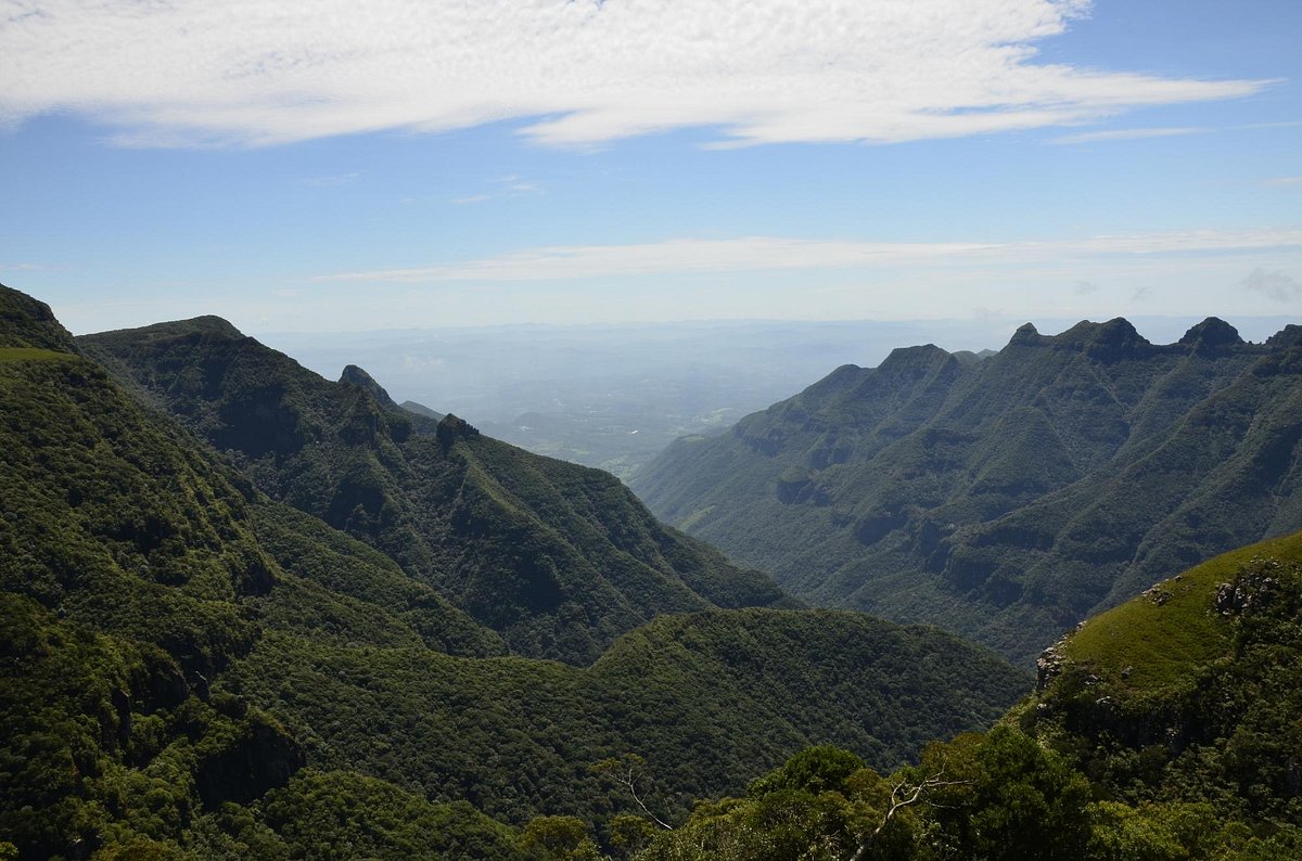 Abierto de Floripa 2023: ronda 4