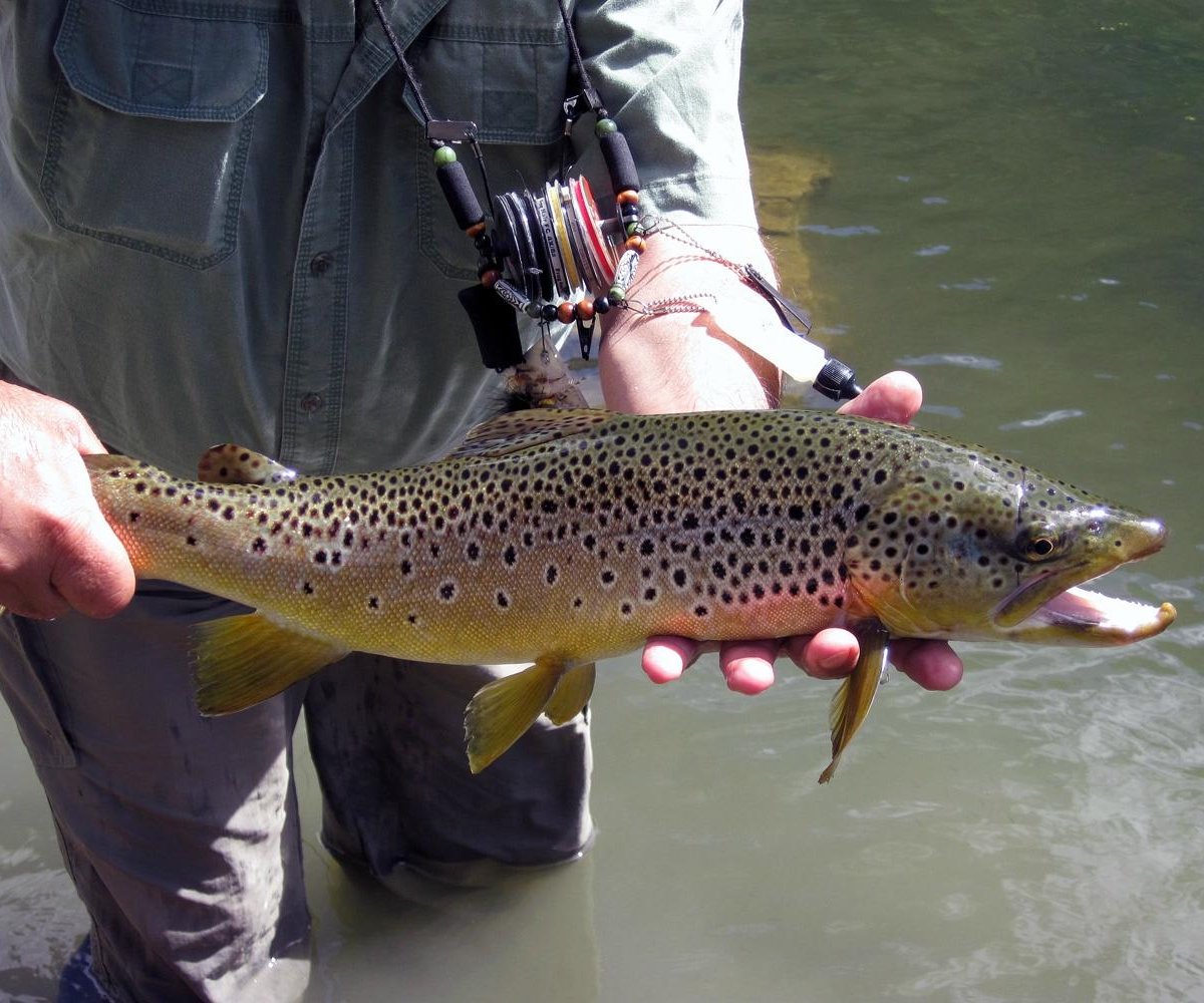 Yellowstone Country Fly Fishing - All You Need to Know BEFORE You Go (2024)