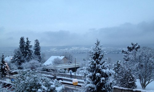 The view from my room