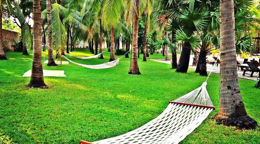 Coconut Garden