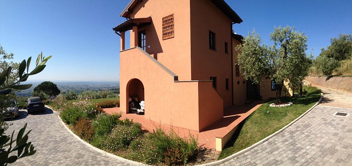 letto con petali finti - Foto di Podere Raffanna Ecologic House, Massa e  Cozzile - Tripadvisor