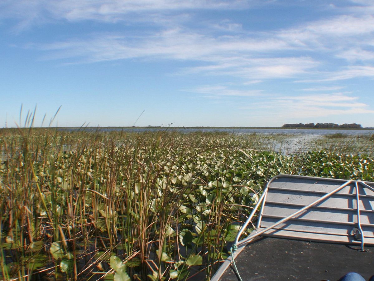 airboat tours lake placid fl