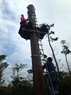 Forest Adventure In Onna Onna Son 21 All You Need To Know Before You Go With Photos Onna Son Japan Tripadvisor Forest Adventure In Onna Onna Son 21 All You Need To Know Before You Go With Photos Onna Son Japan Tripadvisor