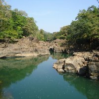 Bhagwan Mahavir Wildlife Sanctuary - All You Need to Know BEFORE You Go ...