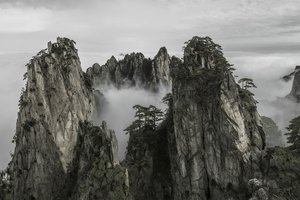 旅客