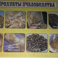 Винни-пуху на заметку