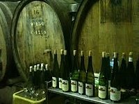 Tout savoir sur les vins rouges d'Alsace  Cave Ziegler-Fugler, Orschwihr,  Colmar, Guebwiller