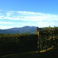 getlstd_property_photo