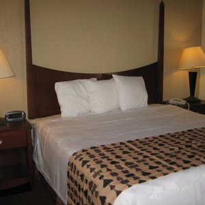 king rooms