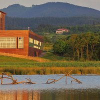 Urdaibai Bird Center