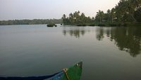 On a country boat to Golden Island! - Review of Ponnumthuruthu Island,  Varkala Town, India - Tripadvisor