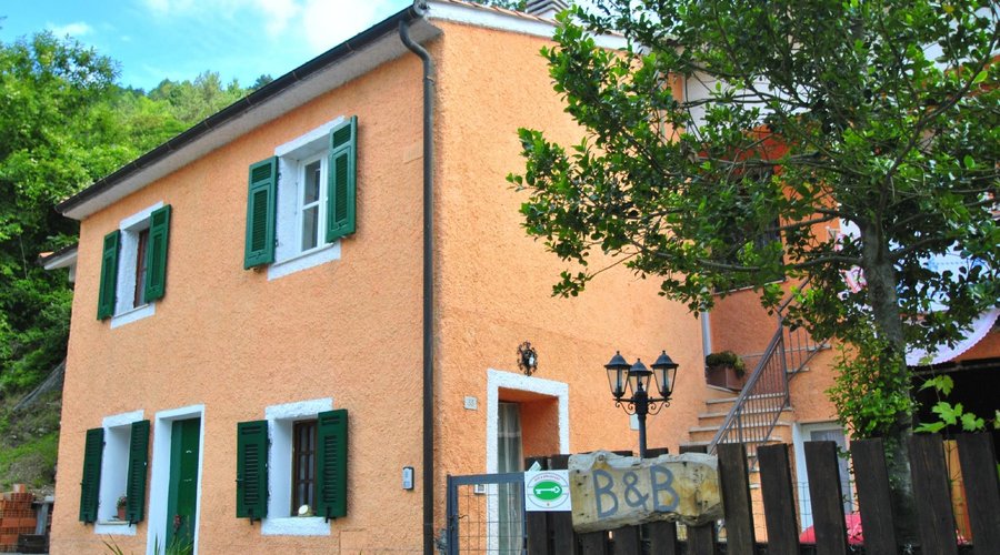 B&B