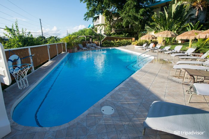 Generator Miami Pool Pictures & Reviews - Tripadvisor