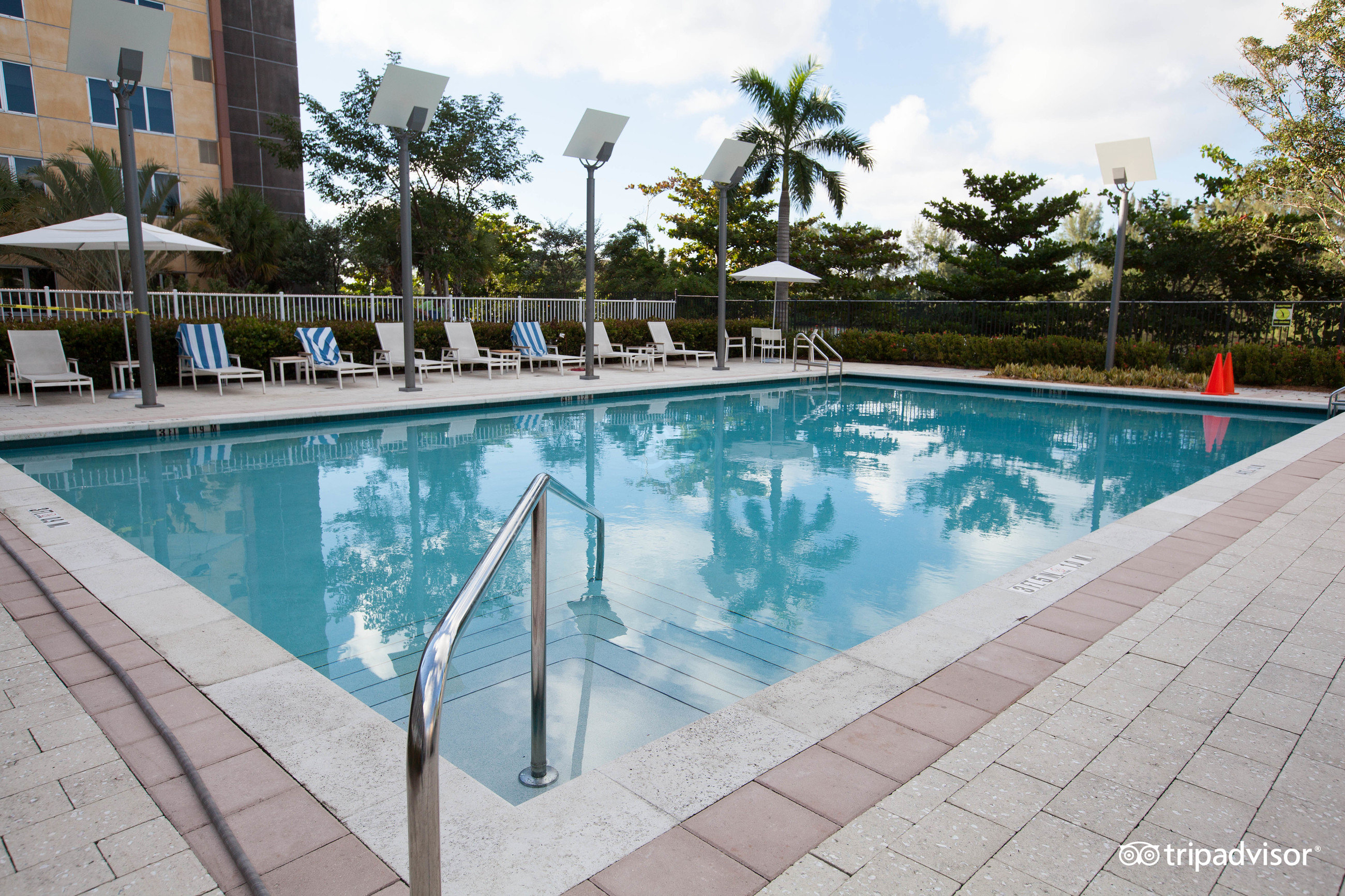 Element Miami International Airport Pool Pictures Reviews Tripadvisor   Pool  V4945018 