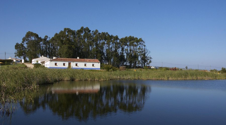 country houses