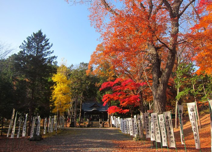 2021年日本平取町的旅游景点 旅游指南 行程 Tripadvisor