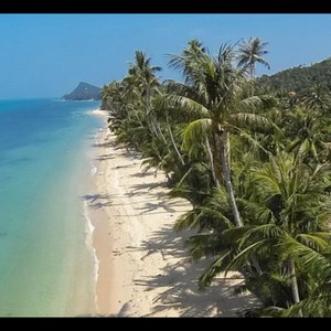 Local Beach