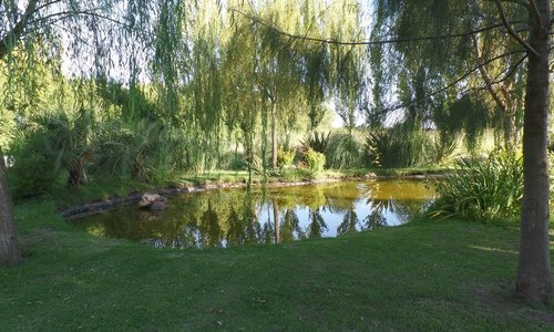 Laguna