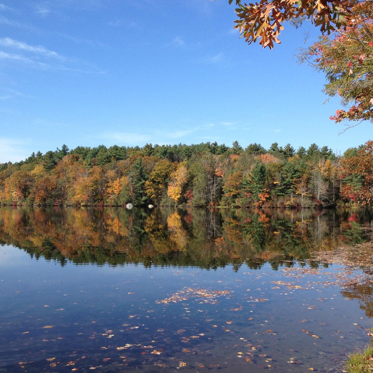 Burr Pond State Park (Torrington) - All You Need to Know BEFORE You Go