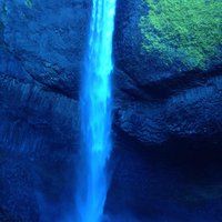 pedal tours near me