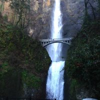 pedal tours near me