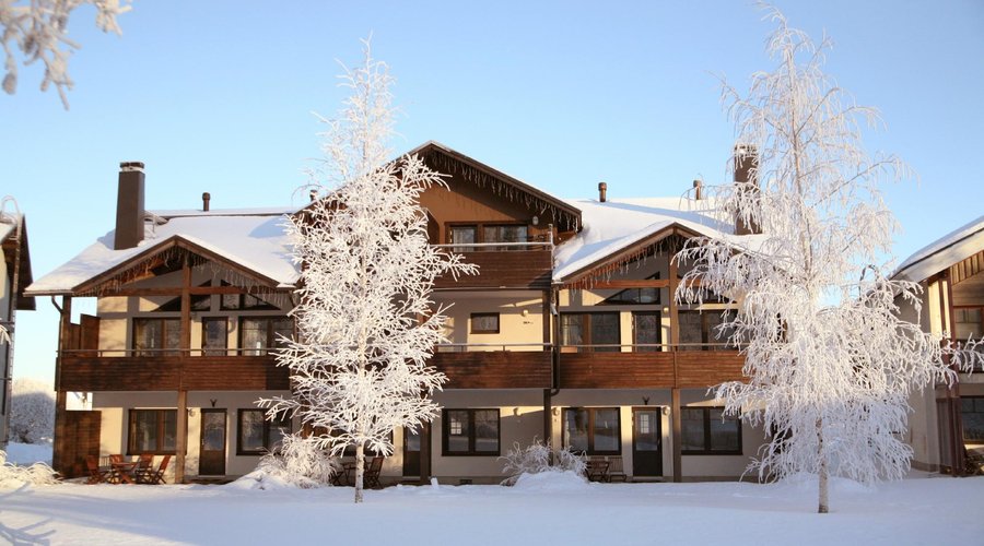 Backyard in winter