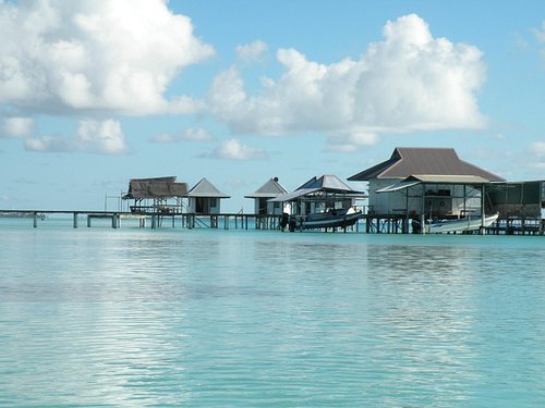 sable rose - Picture of Le Tikehau by Pearl Resorts - Tripadvisor