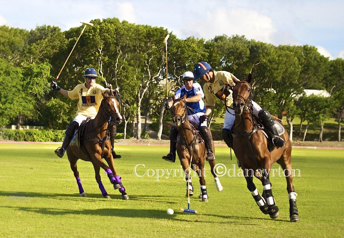 Barbados Polo Club - All You Need to Know BEFORE You Go (2024)