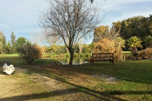 Piscina e spiaggia