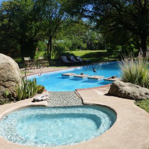 The swimming pool at Waterberry Lodge