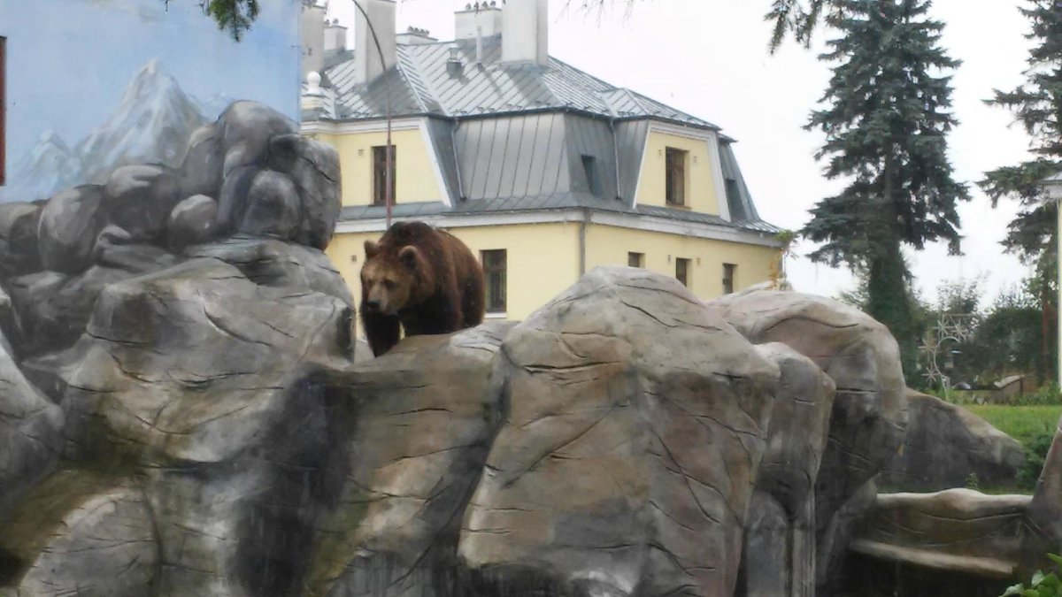 Zoo Zamość, Замостье: лучшие советы перед посещением - Tripadvisor