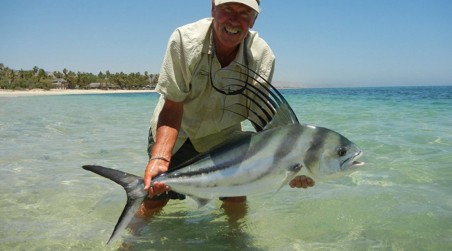 Caught right off the beach !!