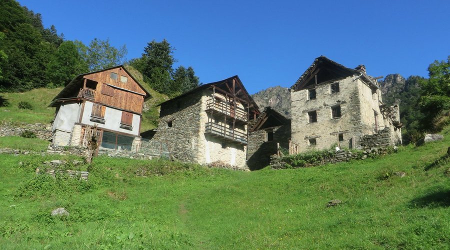 alpe Oro Balme
