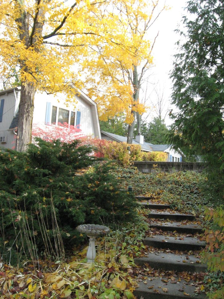 Scandia Cottages Hotel Reviews Sister Bay Door County Wi Tripadvisor