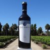 winsomm