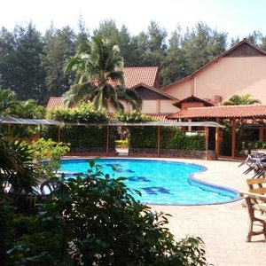 Pool (view from downstairs room)