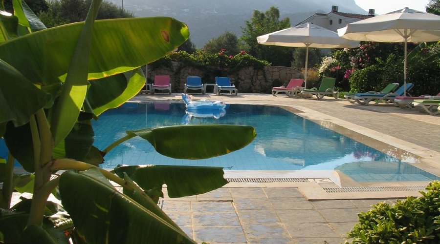 Early morning around the pool