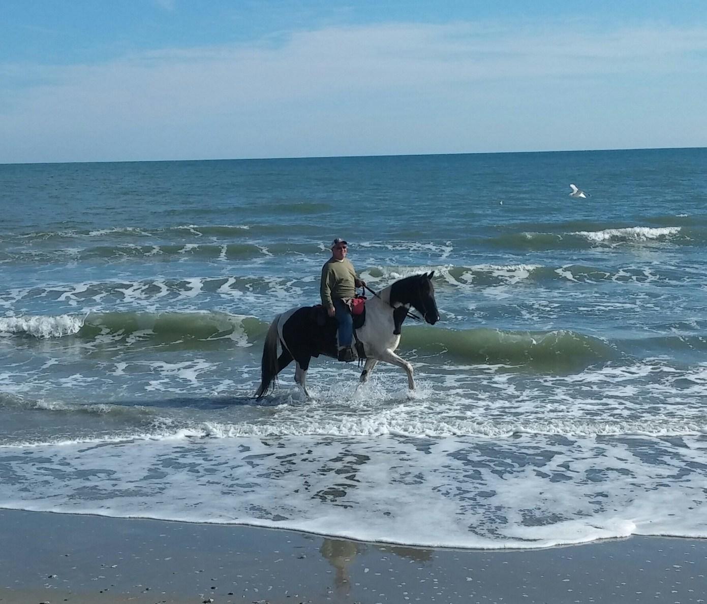 Experience the Magic of Horseback Riding on the Beach in Hilton Head, SC